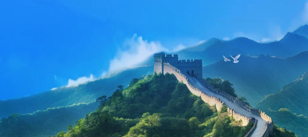 山东省电子税务局全宽照片横幅及税费划缴与回执开具指引